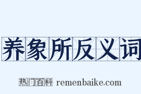 养象所反义词是什么意思的图片